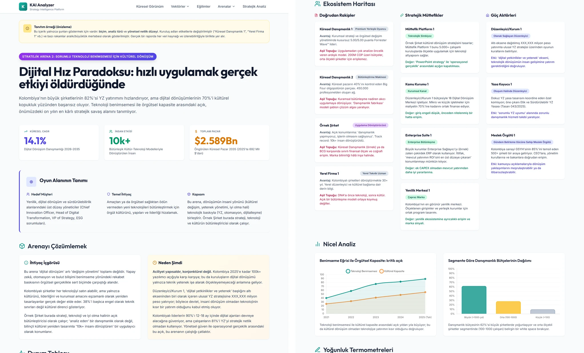 Rekabet arenaları (ihtiyaçlar, oyuncular, gerilimler)